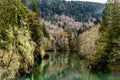 Cowlitz River during Early Spring Royalty Free Stock Photo