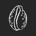 Cowrie shell chalk white icon on black background Royalty Free Stock Photo