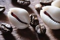 Cowrie shells and coffee beans. Royalty Free Stock Photo