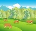 Cows on the Alpine meadows.Mountains range and green valley. Royalty Free Stock Photo