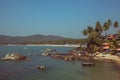 Cows on the beach Palolem, India Royalty Free Stock Photo