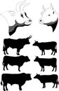 Cows and bulls Royalty Free Stock Photo