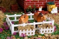 Cows ceramic toy in a farm with seraph and cupid background