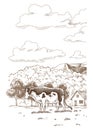 Cows chewing grass farm on grazing on meadow. Hand drawn farm land vector illustration. Rural landscape, village vintage Royalty Free Stock Photo