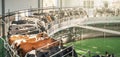 Cows on dairy farm on automated machine equipment for milking, banner panoramic image
