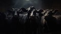 Cows in a dark stall on a dairy farm.