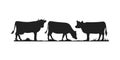 Cows in different poses vector set. Silhouettes of grass. Cow grazing on meadow. Royalty Free Stock Photo