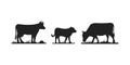 Cows in different poses vector set. Silhouettes of grass. Cow grazing on meadow. Royalty Free Stock Photo