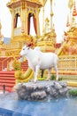 The Cows in the Fairy Tale of Asia 171105 0482 Royalty Free Stock Photo