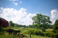 Farm with cows in Pennsylvania