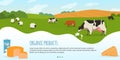 Cows in farm vector illustration, cartoon flat rural countryside landscape with green grass meadow and herd of animal Royalty Free Stock Photo