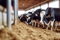 Cows Feeding on Hay in a Spacious Cowshed. created with Generative AI
