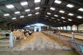 Inside large industrial cow shed Royalty Free Stock Photo