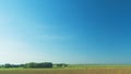 Cows On A Field. Amazing Aerial Scenery Of Herd Of Cows Pasturing On Green Meadow.