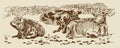 Cows in field dry stone wall paddock Hand drawn sketch