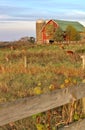 Farm animals in field and red barn Royalty Free Stock Photo