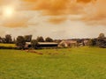 Cows graze on a meadow of mountain at sunset of France. Cow on the mountain opposite sea. Royalty Free Stock Photo