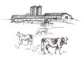 Cows graze near the farm. Rustic landscape style sketch. Retro illustration.