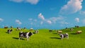 Cows graze on the open green meadows