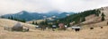 Cows graze on a pasture, powdered with snow against the backdrop of the mountains. Royalty Free Stock Photo