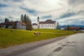 Cows grazing in front of Pilgrimage Church Wieskirche in Bavaria Royalty Free Stock Photo