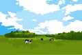 Cows grazing on meadow. Royalty Free Stock Photo