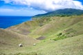 Cows grazing on the meadows of rolling hills of Basco, Batan Islands, North of Philippines Royalty Free Stock Photo