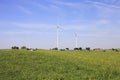 Cows grazing near wind turbines Royalty Free Stock Photo