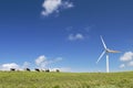Cows grazing next to a wind turbine Royalty Free Stock Photo