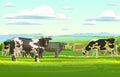 Cows are grazing. Rural landscape hills. Green pasture grass. Summer view. Farm milk and dairy products. Cartoon flat Royalty Free Stock Photo