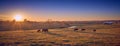 Cows Grazing at Sunset