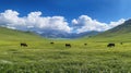 Cows grazing in a vast green meadow with mountains and blue sky Royalty Free Stock Photo