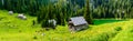 Cows grazing by wooden small mountain huts in the Julian Alps, Slovenia