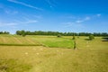 Cows in a green field in Europe, France, Burgundy, Nievre, towards Chateau Chinon, in summer on a sunny day