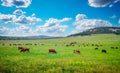 Cows on green meadow. Composition of nature