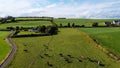 A cows on a green pasture in Ireland, top view. Organic Irish farm. Cattle grazing on a grass field, landscape. Animal husbandry. Royalty Free Stock Photo