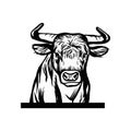 Cows head. Hand drawn sketch in a graphic style. Vintage vector engraving illustration for poster, web. Isolated on Royalty Free Stock Photo