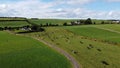 A cows in Ireland, top view. Organic Irish farm. Cattle grazing on a grass field, landscape. Animal husbandry. Green grass field Royalty Free Stock Photo