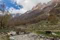 Cows in Jizev Jizeu, Geisev or Jisev valley in Pamir mountains, Tajikist
