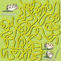 Cows Maze Game