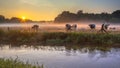 Cows in meadow on bank of Dinkel River at sunrise Royalty Free Stock Photo