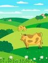 Cows on meadow