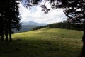 Cows on meadow with mountains range and blue cloudy sky background Royalty Free Stock Photo