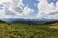 Cows on meadow with mountains range and blue cloudy sky background Royalty Free Stock Photo