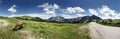 Cows on mountain pasture