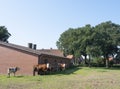 Cows near typical red brick farm between Lingen and Rheine in lower saxony