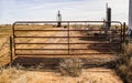 Cows and oil field equipment viewed through metal gate with cattle guard on bleak winter day Royalty Free Stock Photo