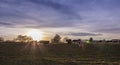 Cows Pasture Farmland at sunset Germany Landscape Nature