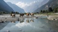 Cows at Peace: A Serene Moment in Rural Life. Generative AI