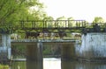 Cows returning from pasture over bridge across river Royalty Free Stock Photo